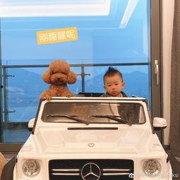 网红雪梨开车图片,展现时尚驾驭风采